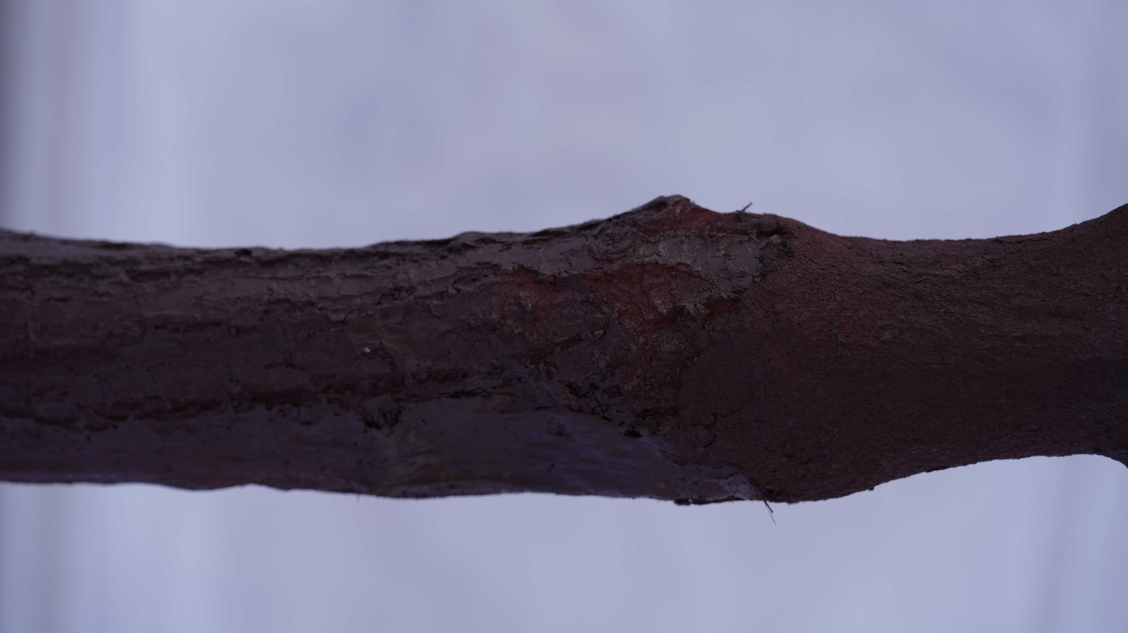 EMA2010104-2.jpg