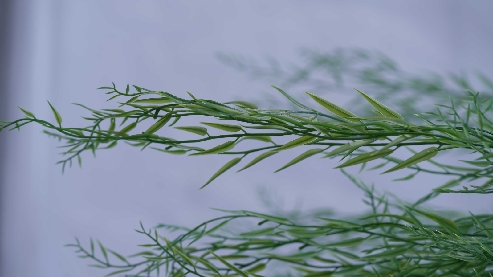 EMA2010505-2.jpg