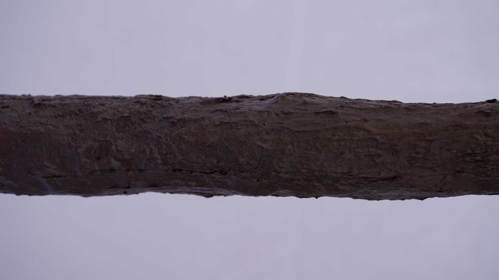 BCLA2630204-3.jpg