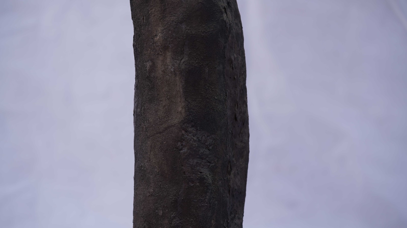 BELA3030405-3.jpg