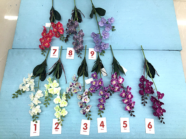 20220406_131927.jpg